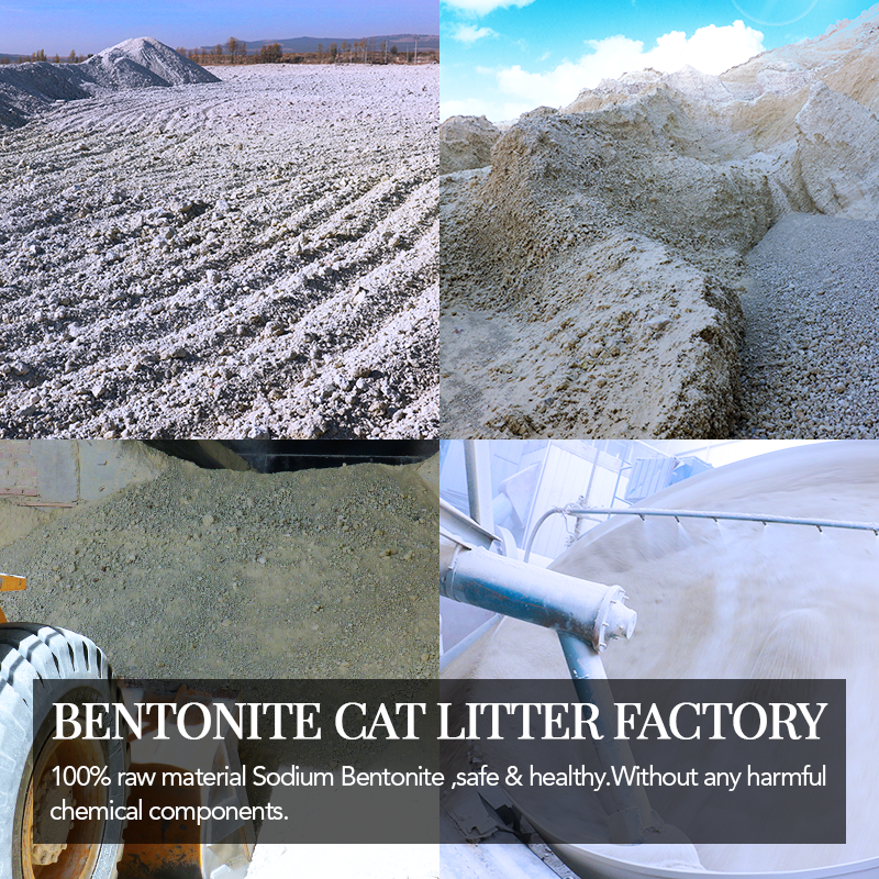 Top Quality Pet Cleaning Products Kitty OEM Clumping Irregular Shape Bentonite Cat Litter