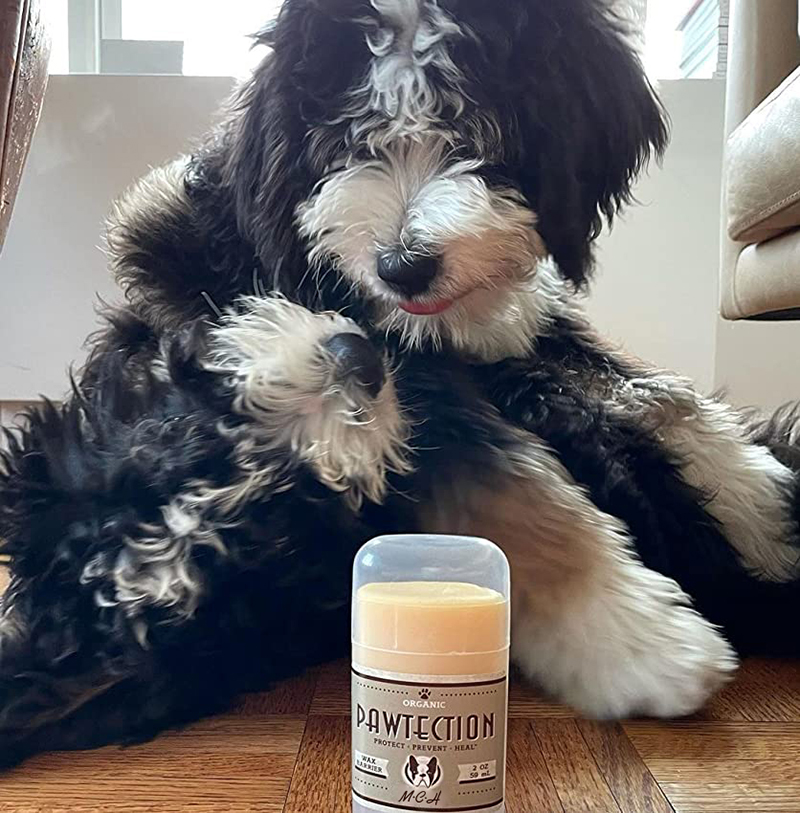 Nature Protection Soother Dog Wax Paw Butter Heals Repairs Damaged Eye Pet Balm Cream