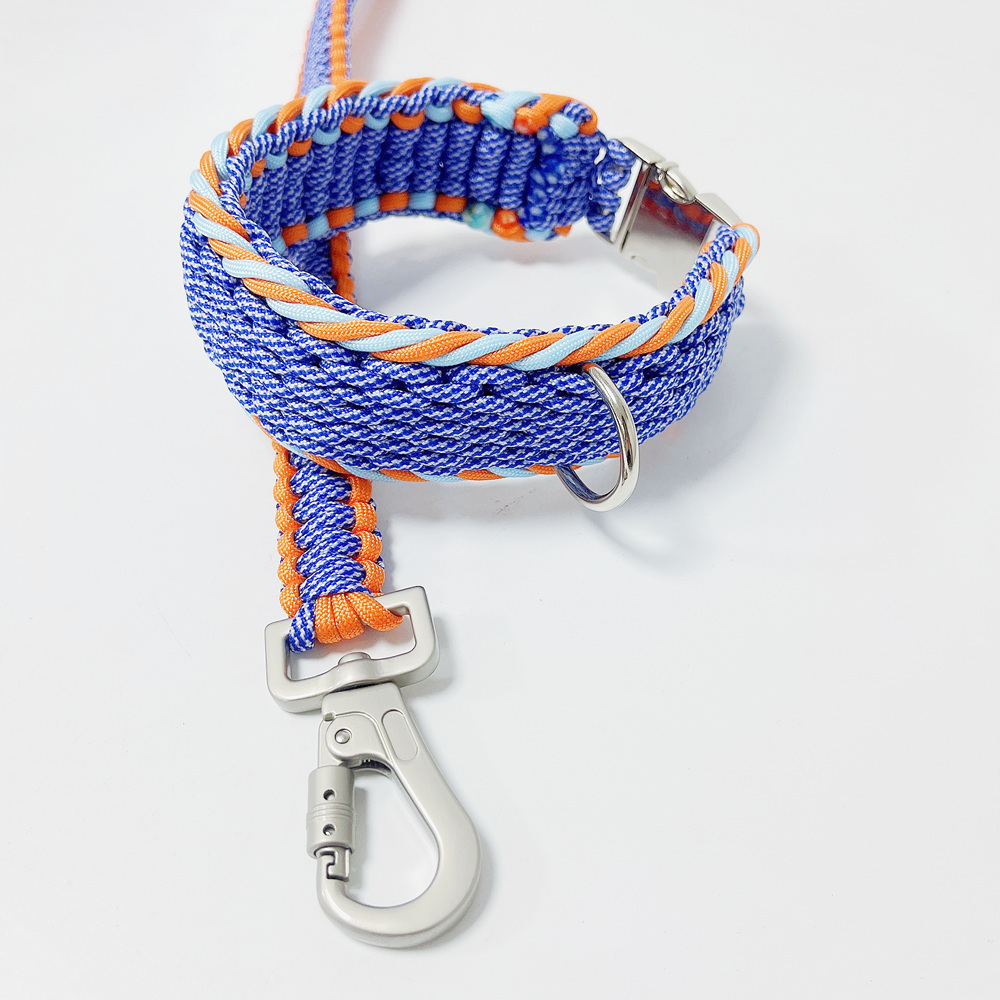 collar leash set new pet products 2022 innovative product correas para perros metal buckle chien swivel carabiner for dog leash