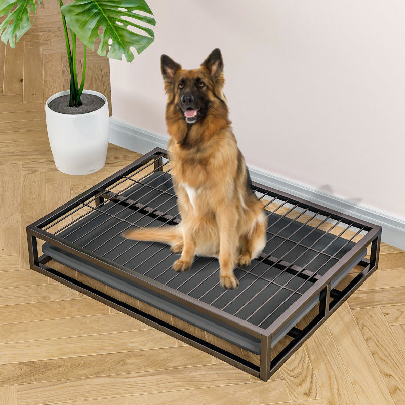 Pet Training Supplies Dog Potty Pad Tray Puppy Plastic Stainless Steel Toilet With Pee Baffle Column for Pet Waste Disposal