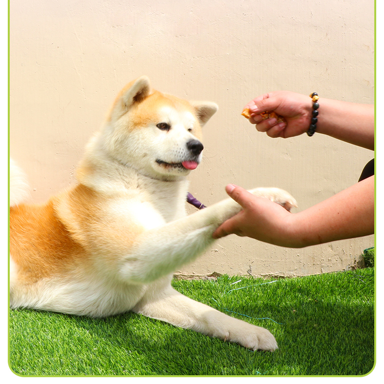 Wholesale dry pet snacks dog food bulk cargo Dried chicken Sliced chicken with snow Dog snacks Dog treats