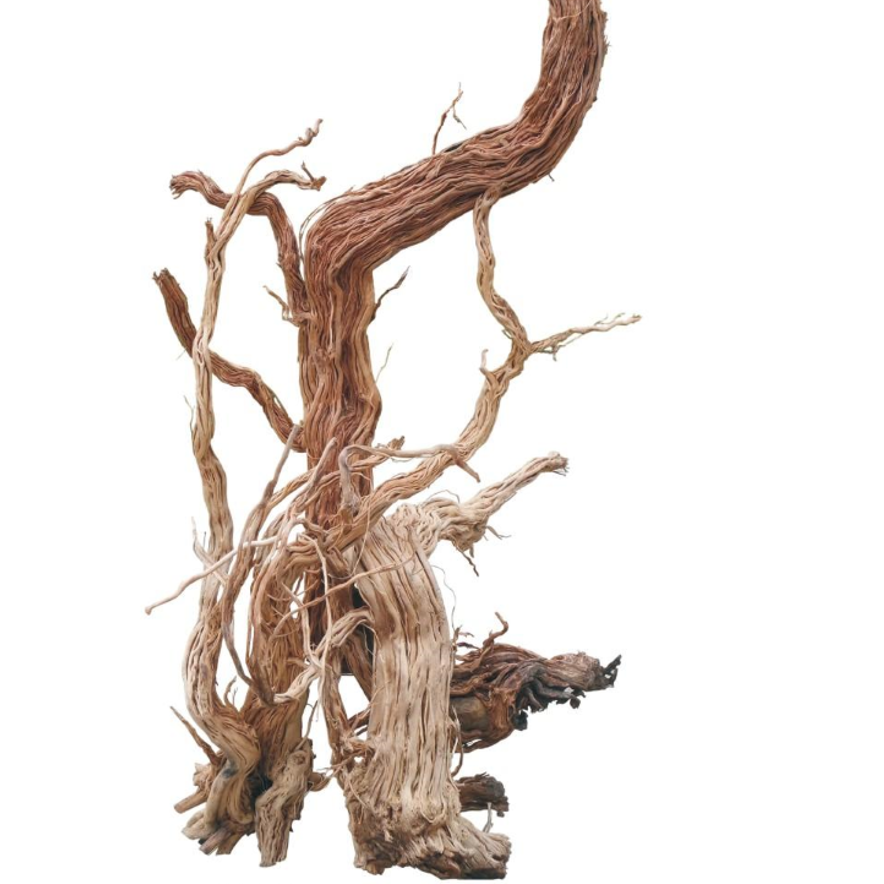 Professional Basin Wood Driftwood Art Wood Flower Basin