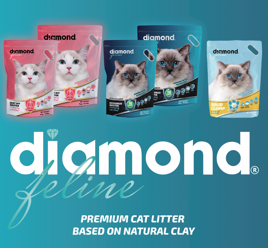 best seller products 2024 bentonite cat litter sand wholesaler