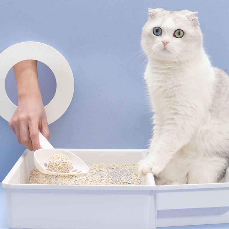 100% environmentally friendly natural washable 2.0 original sand pure tofu cat litter