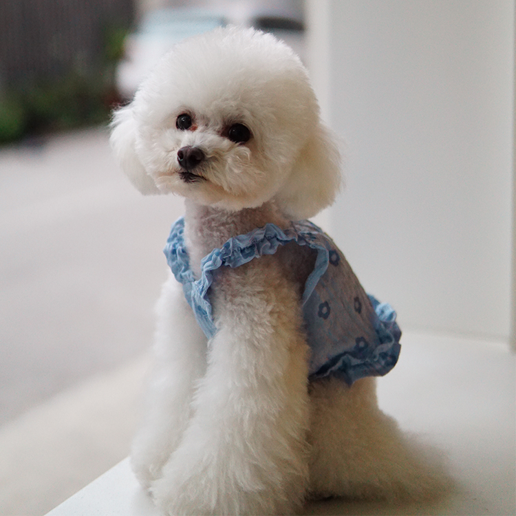 2022 Hot Selling Multi-Color Comfortable Custom Logo Small Floral Dog Harness