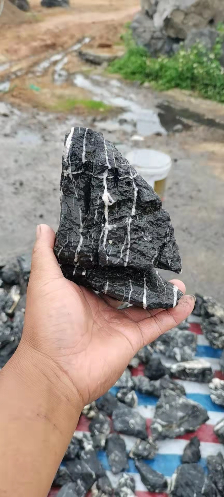 10-30cm acid washed seiryu dragon fish tank stone for for Paludarium Aquascape