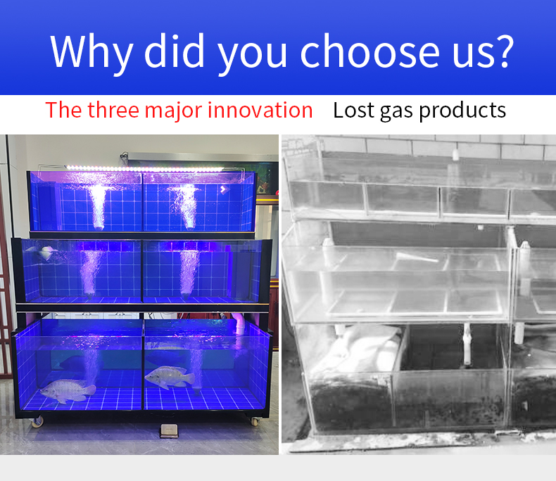 Made In China Commercial Vertical Glass Fish Tank Live Seafood Tank Fish