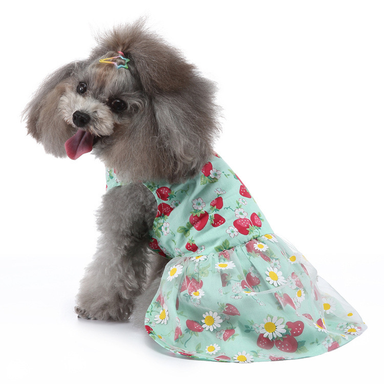 Custom Label custom dog clothes durable With Wholesaler dog clothes dog clothes