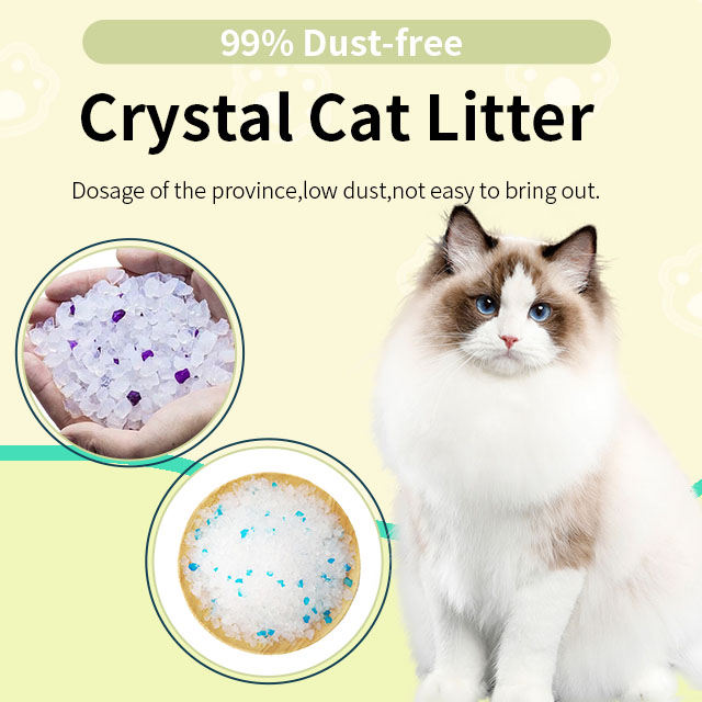 2024 Hot Wholesale Dust Free Pellet Silica Cat Litter Crystal Cat Litter Silica Cat Litter