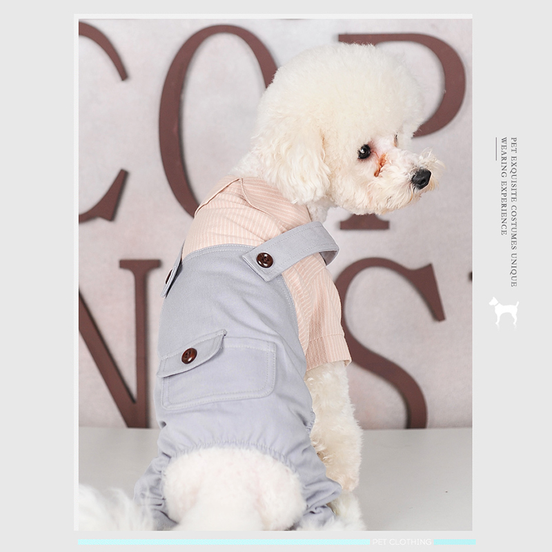 Wholesale Customized Pet Dog Clothes 2020 New autumn winter Stay warm pet costume