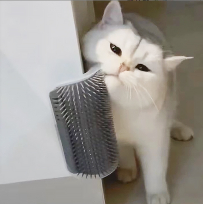 Cat scratches brush pet corner comb pet massage comb pet supplies