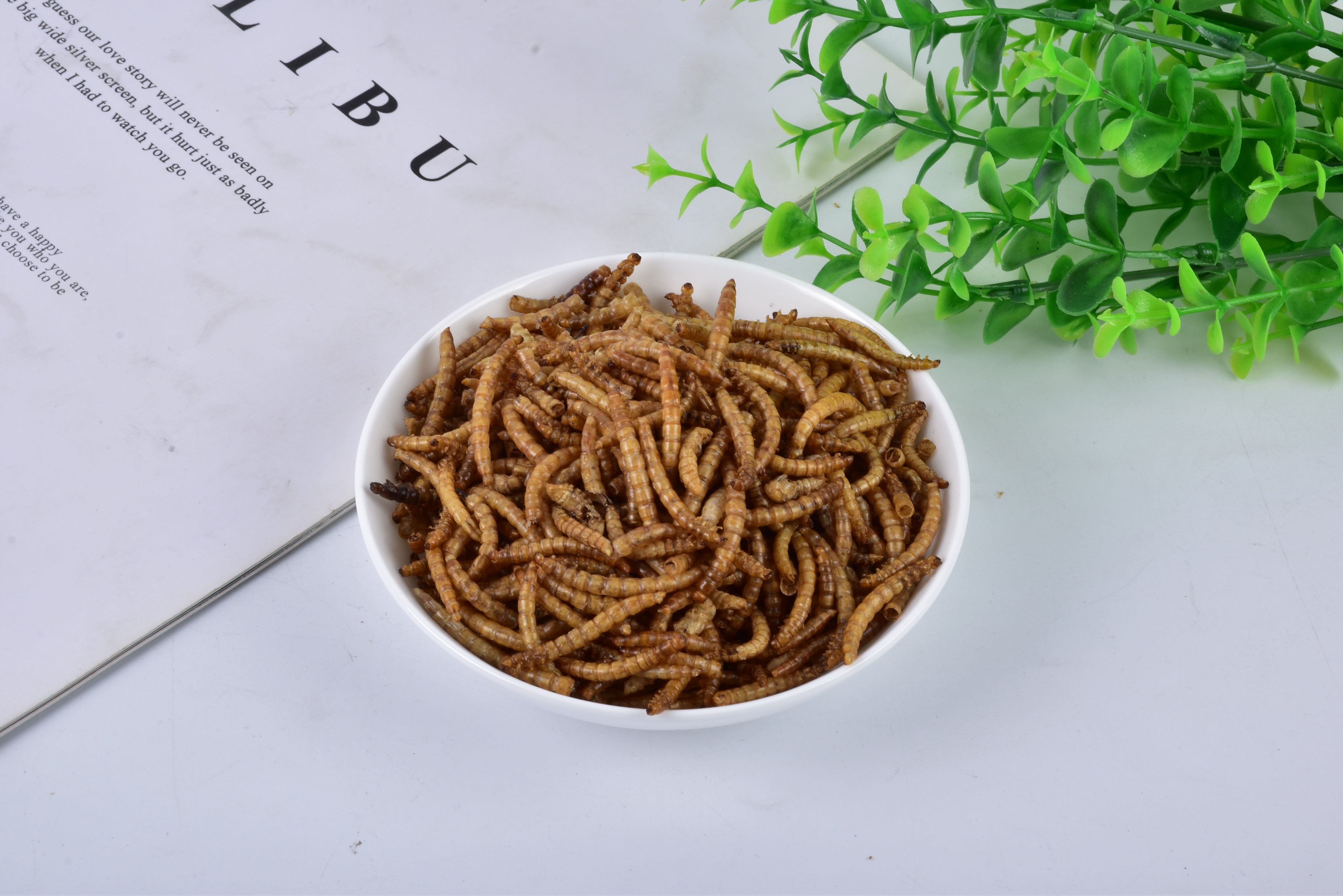 [SINO CROWN] Dried Mealworm Dried Insects Tenebrio Molitor Animal Feed Grade Powder