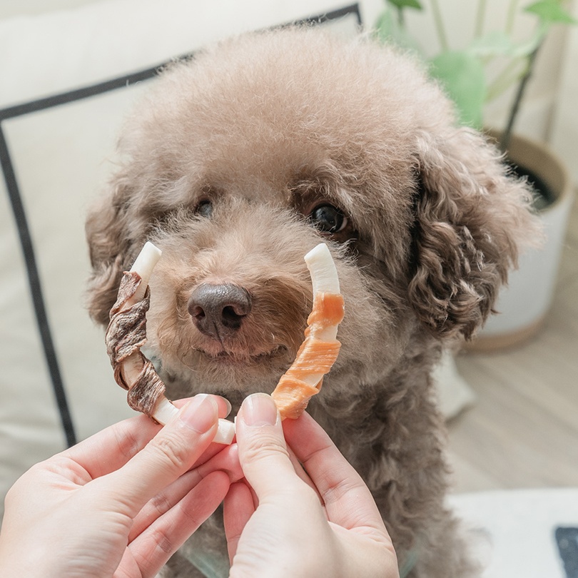 Wholesale dry pet treats dog food Chicken around coconut meat Nutritious dried dog treats OEM