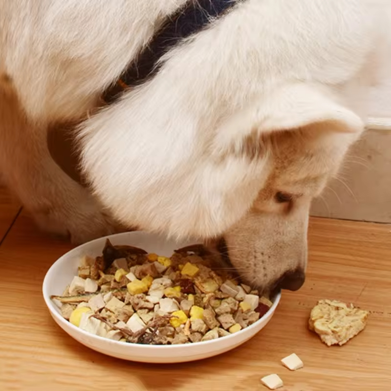 OEM Freeze dried foods 100% natural dog food dogs pet food chicken/duck/fish flavor