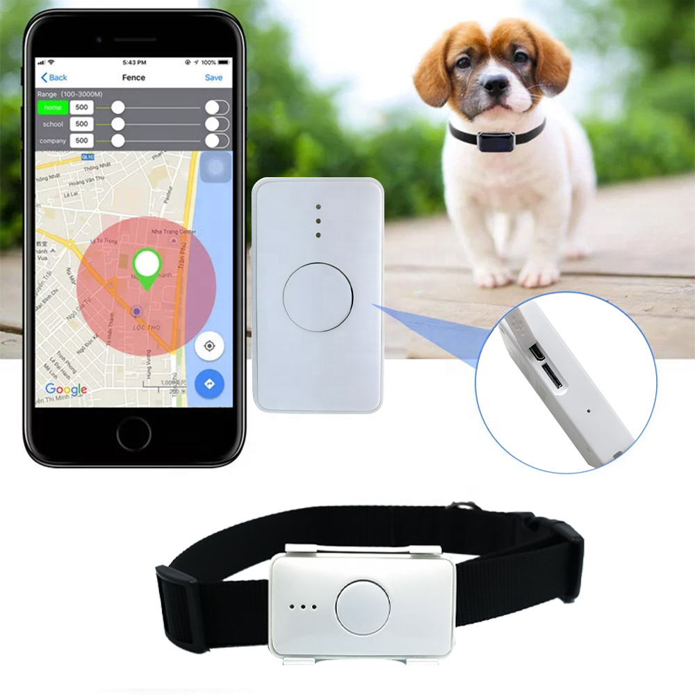 Global 4G Worldwide GPS+LBS Positioning Real-time Tracking Waterproof IP68 Pet GPS Tracker with Free Web Tracking Software