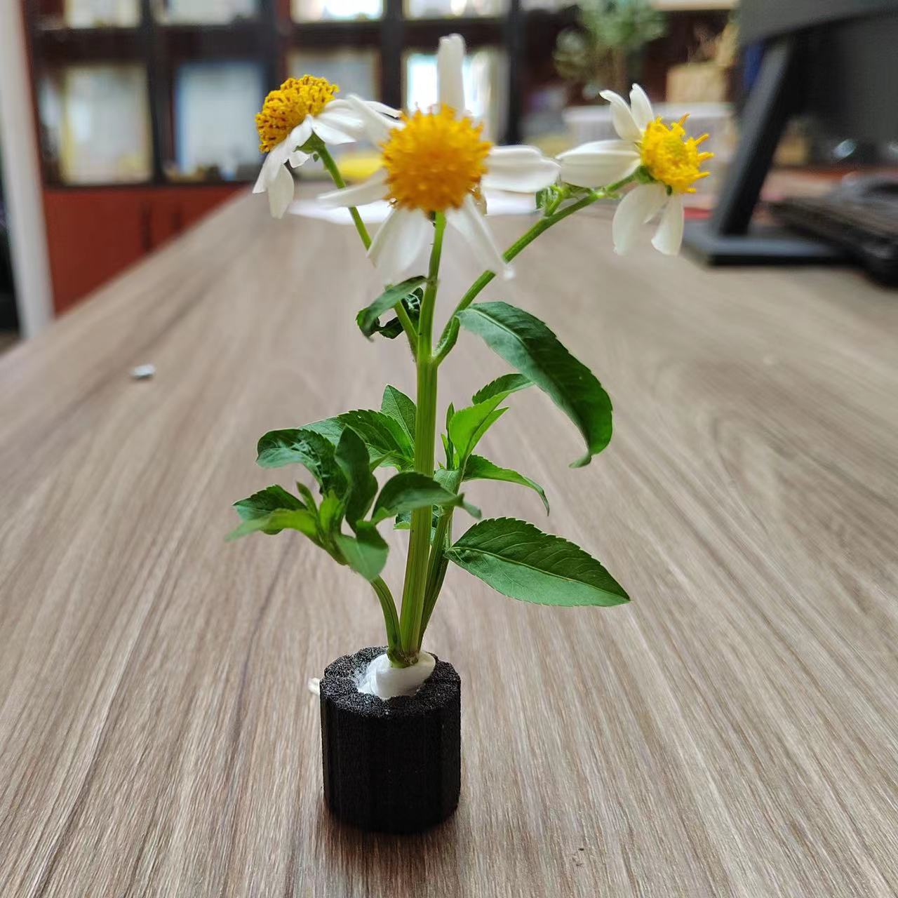 Aquarium Planting Ring, Ceramic Filter Media, Aquarium Filter Media