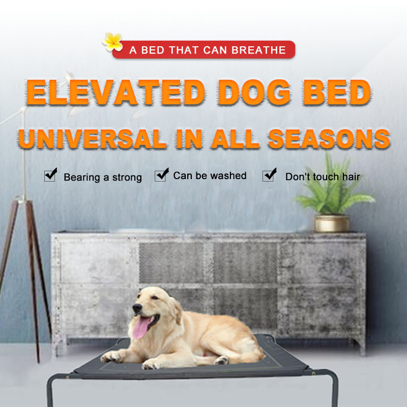 China Wholesale Cool-Air large Cooling Stackable Premium Medium Dogs cot