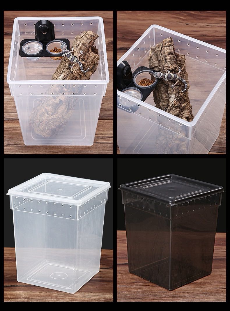 Reptiles & Amphibians Lizard Gecko Suction Cup Feed Bowls Food Container with Bowl for Reptile Food and Water Feeding