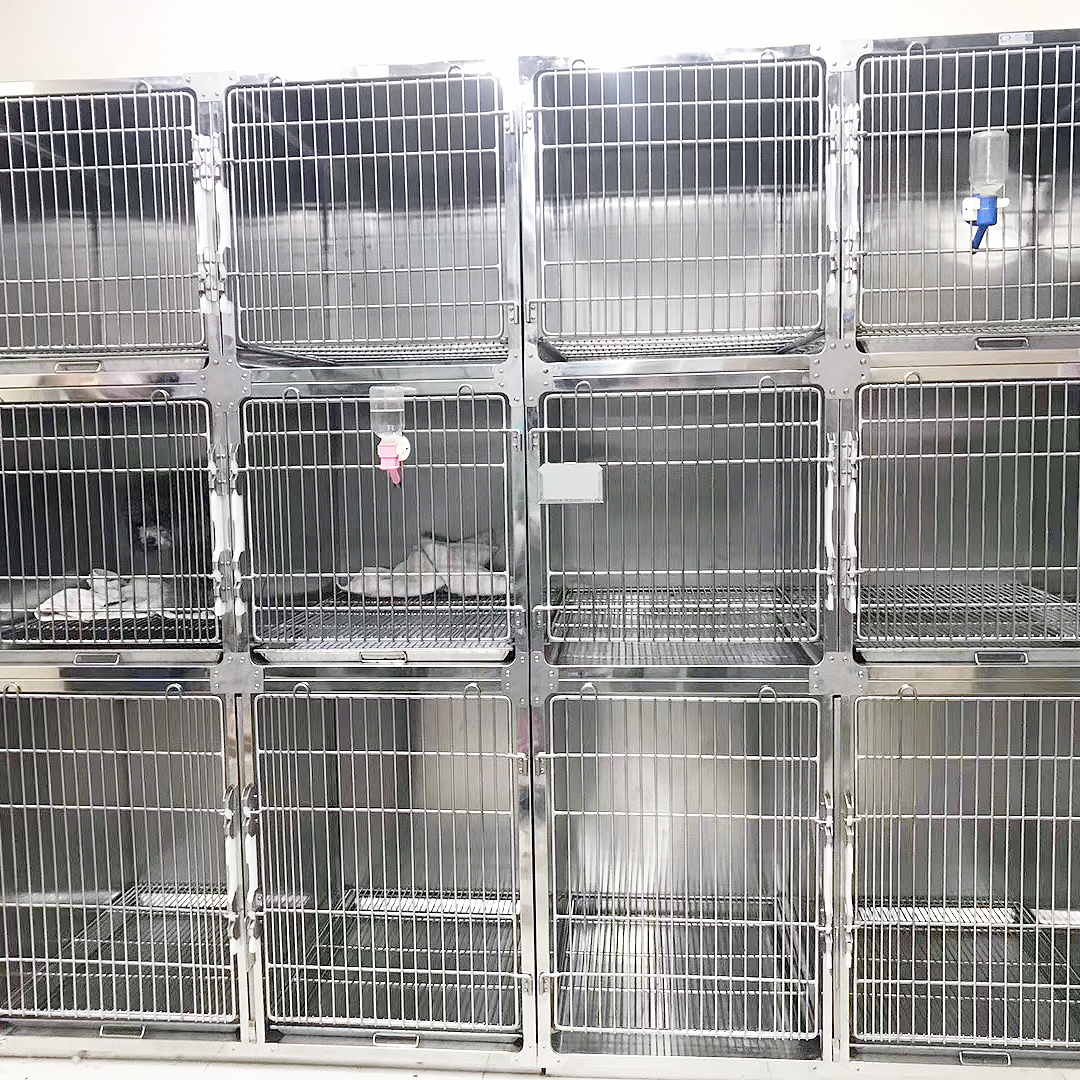 12-door cage Veterinary pet hospital clinic stainless steel 304 dog cages (model A)