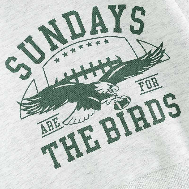 Clothing Sets Toddler Boys Fall Spring Outfits Letter Eagle Print Crew Neck Long Sleeve Sweatshirts Long Pants 2Pcs Sweatshirts Clothes Set H241126