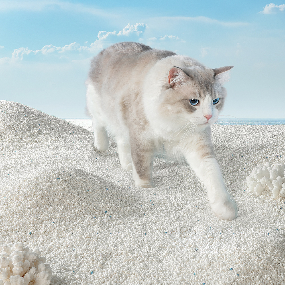 Food grade cassava starch natural cassava cat litter no additives, no dust high-end customizable cassava cat litter