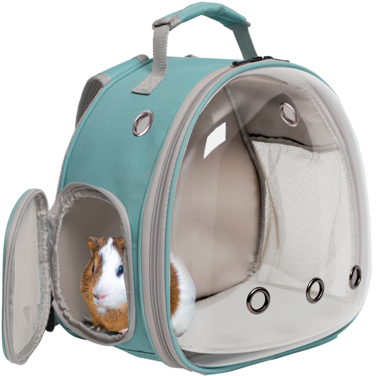 On Sale Mini Animal Bearded Dragon Carrier Accessories Small Pet Backpack for Travel