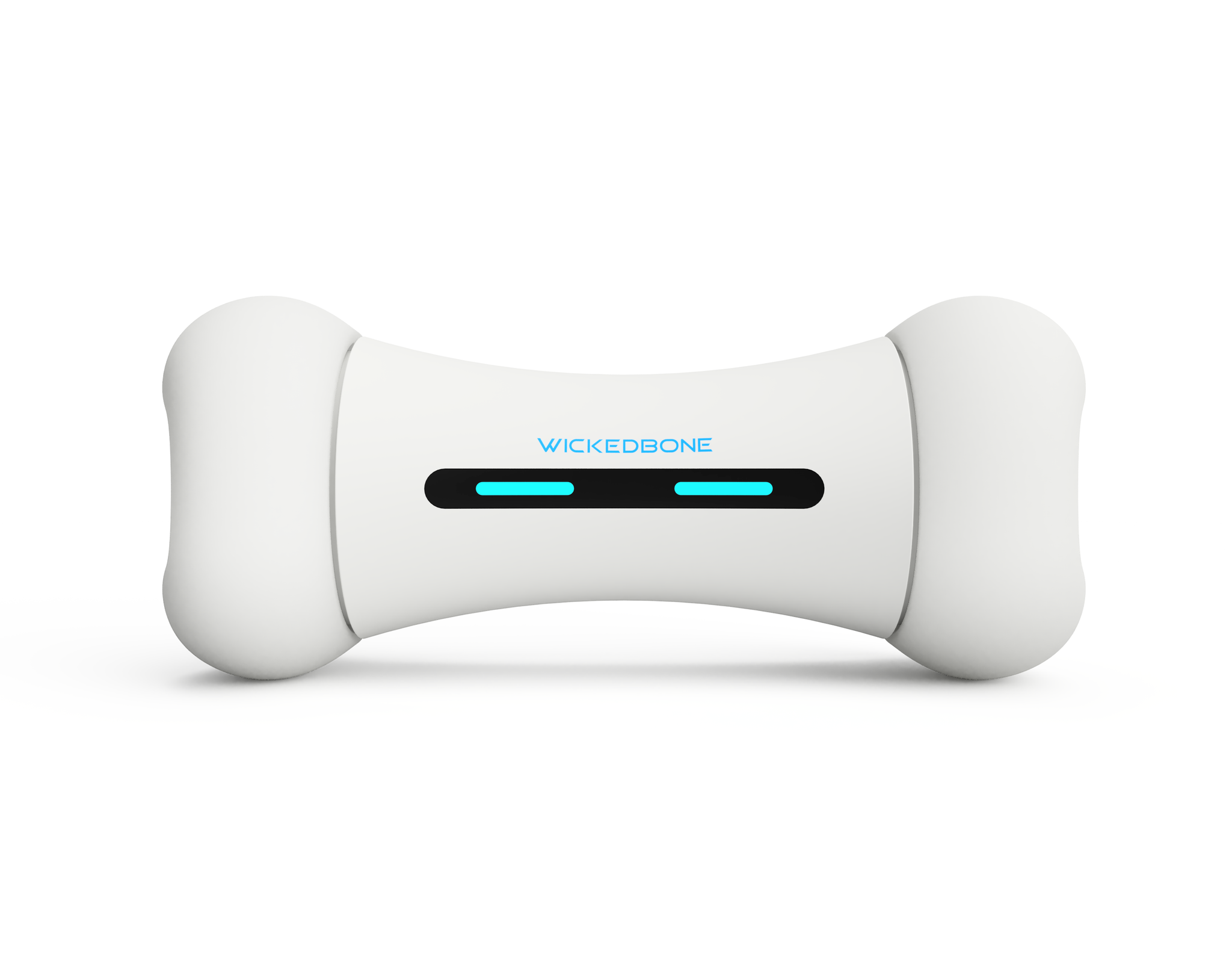 World's first new smart pet toy for smart dog toy girl and boy as dog chew bone