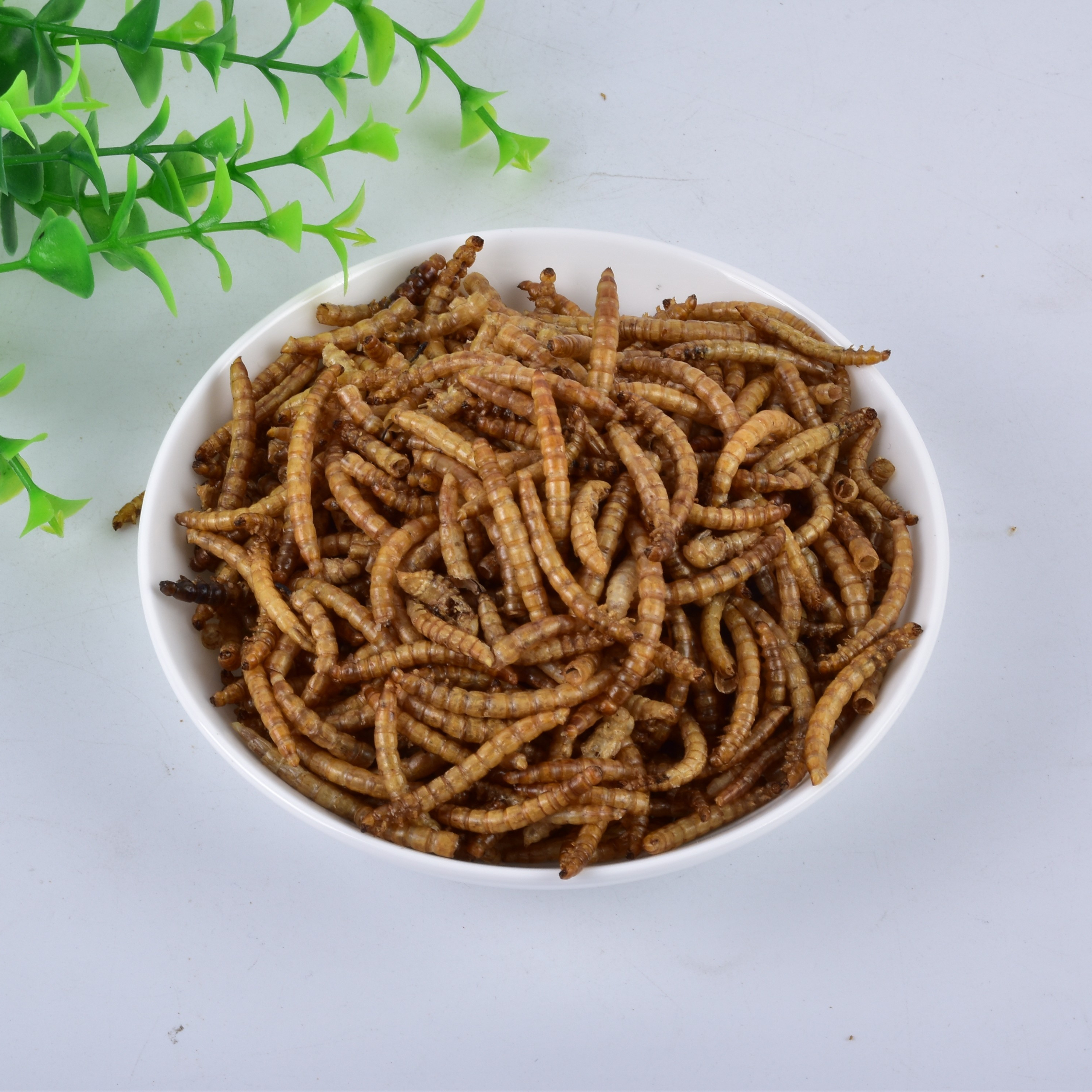 [SINO CROWN]Popular protein fish meal feedchile feed additive Insects Powder Fish Meal Dried Mealworms Powder As Fish