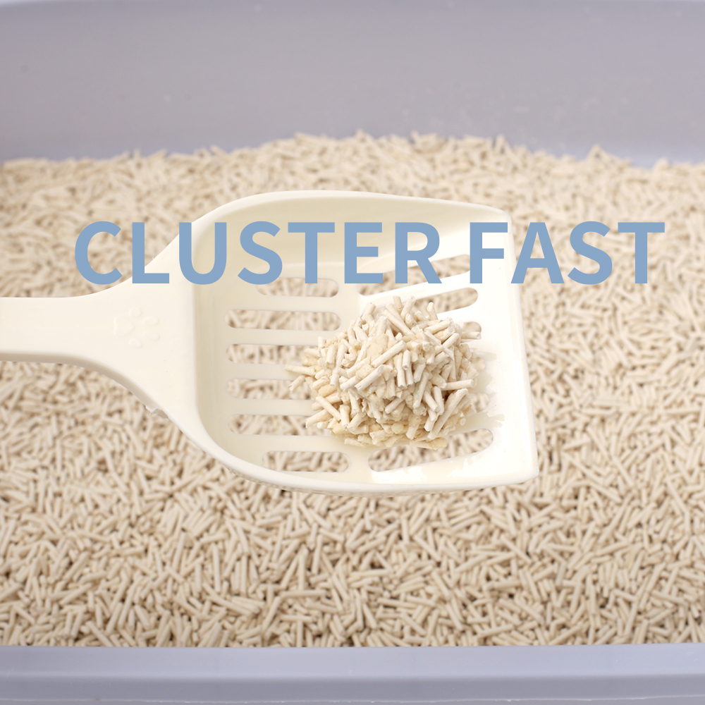 New pet products 2024 innovative product fragrance cat sand cat litter wholesale tofu cat litter