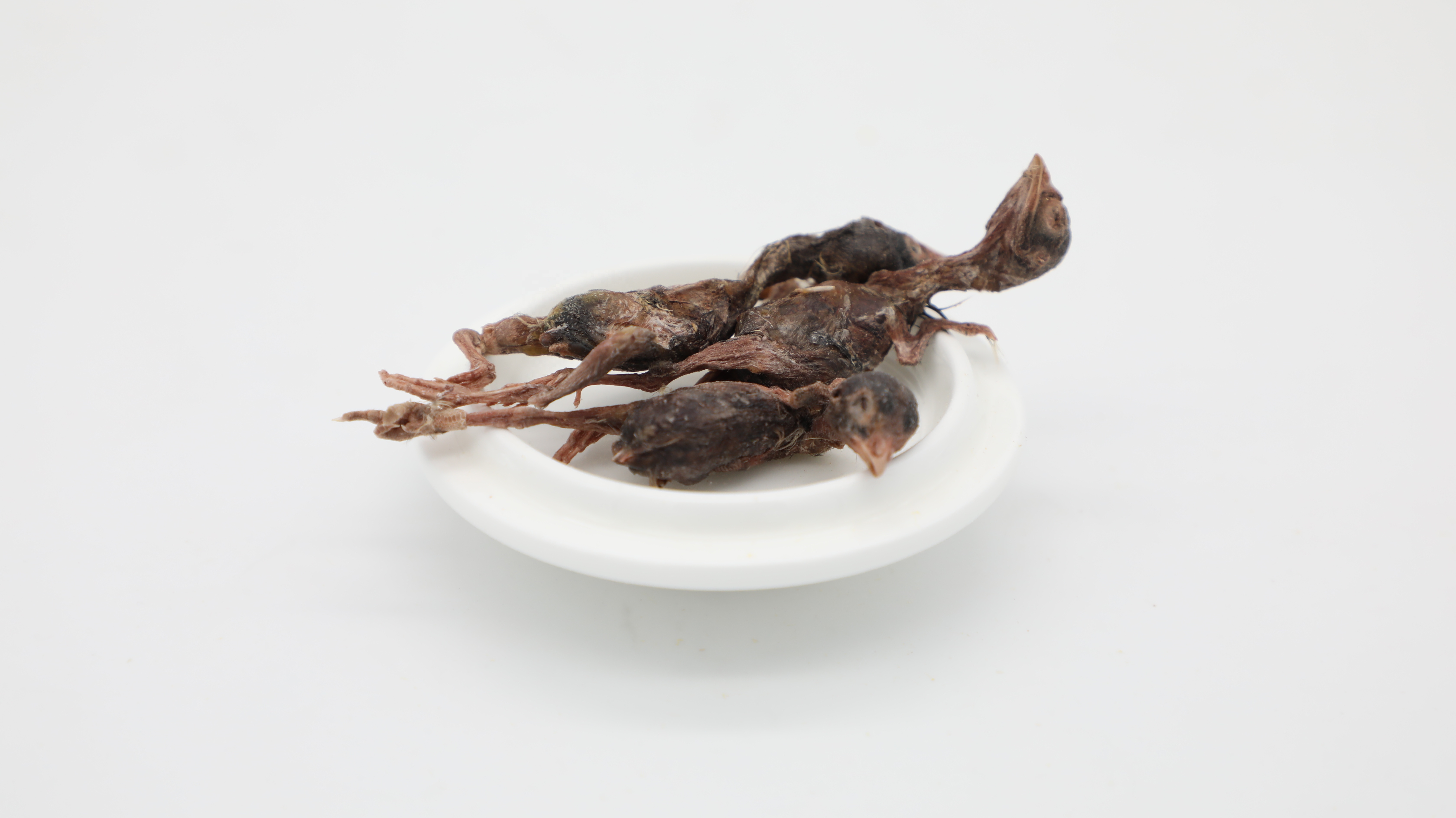 Freeze Dried quail OEM Pet Treats cheap FD meat dog cat treat
