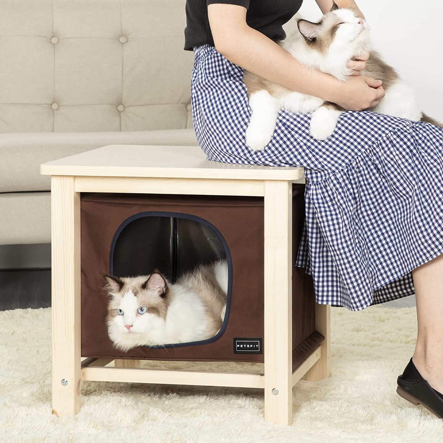 People and pets share pet supplies on the bedside table of the indoor cat room