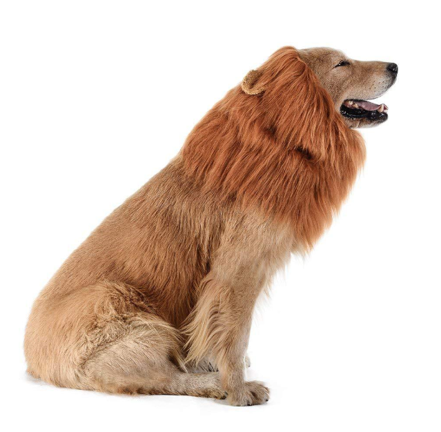 C&C Hotting Funny Costume Wig Hair Pet Dog Lion Mane For Dogs