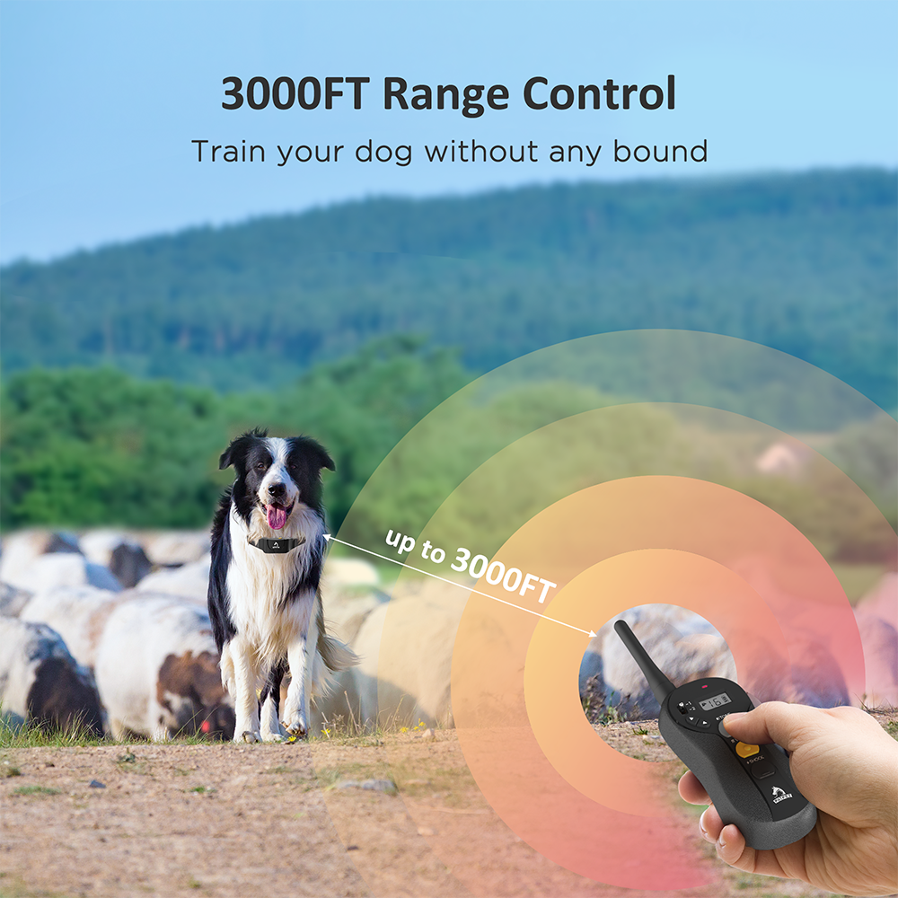 Dog Training Collar Waterproof Training Collars for 2 Dogs with Remote Rechargeable 3 Training Modes