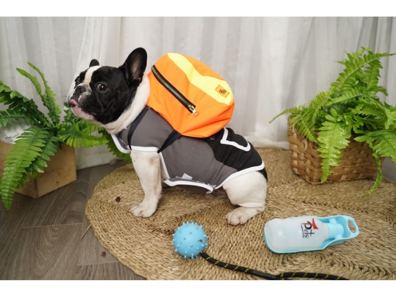 Made in Viet Nam Cheap Price Pet Bag Outside Walking Training Dog Backpack Zippered Dog Bag Pet Apparel & Accessories Fashion