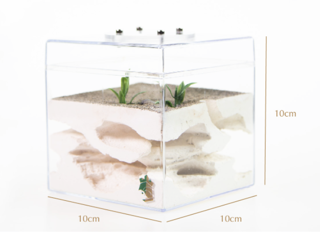 Minimalist Nordic Design Clear Acrylic Reptile Box Aquarium accessories
