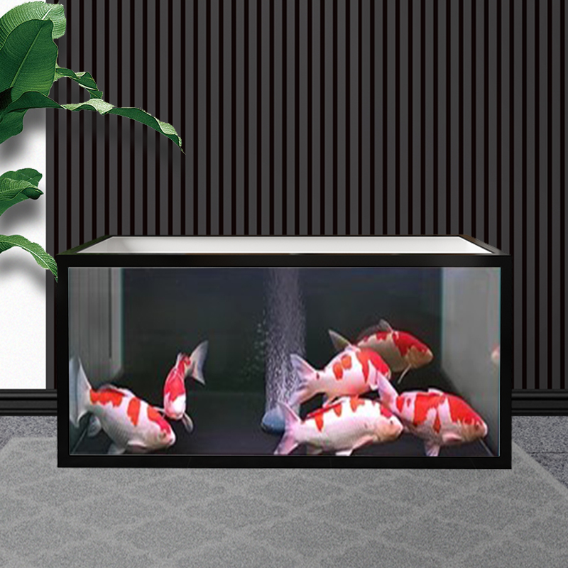 cheap outdoor fibreglass viewing window farming water large big size simple aquarium koi fish tank