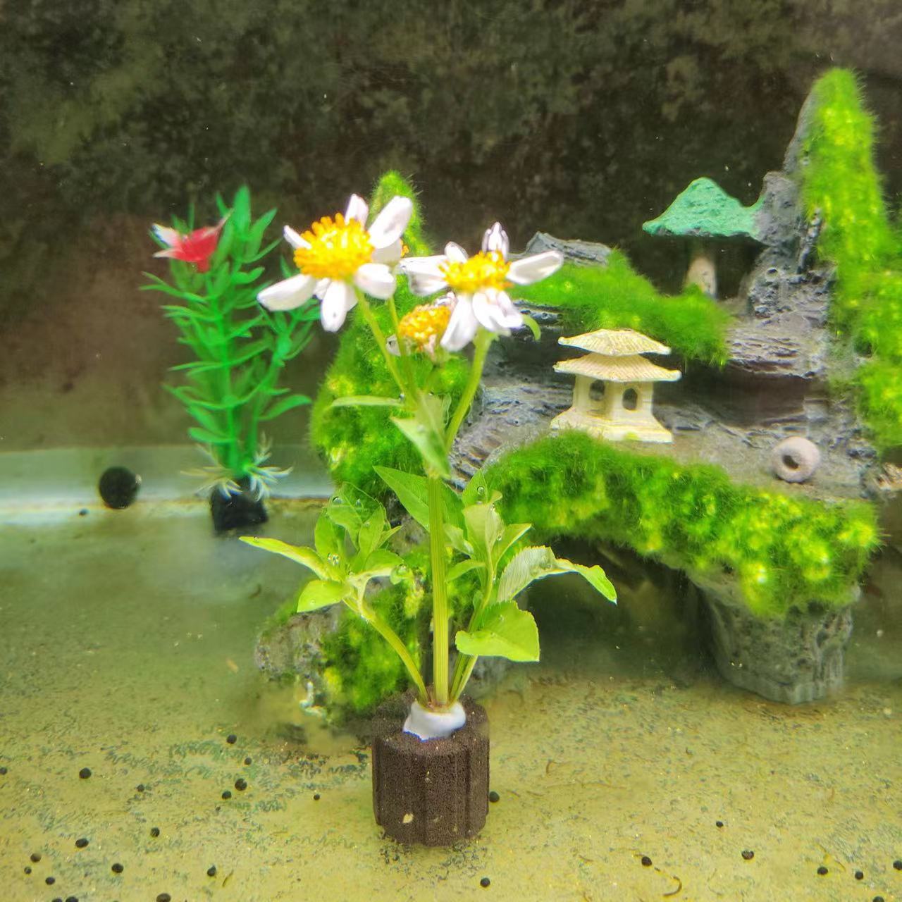 Aquarium Planting Ring, Ceramic Filter Media, Aquarium Filter Media