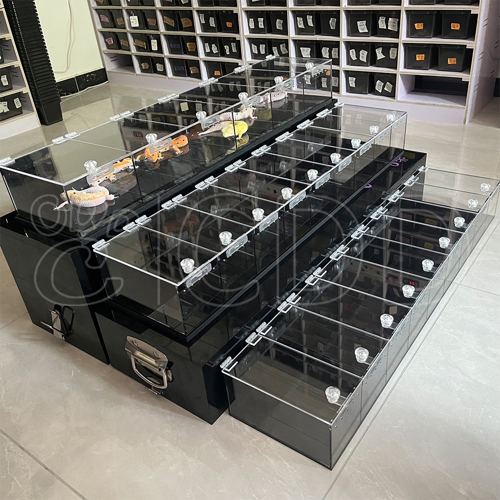 Reptile expo show 3 shelves reptile exhibition display acrylic reptile display cases suppliers