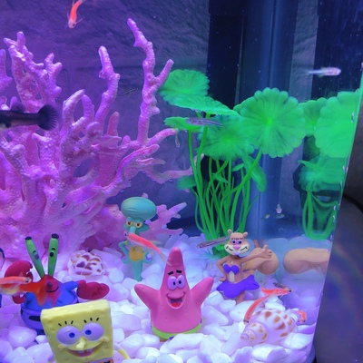 MOQ 500 pieces Wholesale Automatic Filter betta fish tropical fish live LED table fish farming tank aquarium