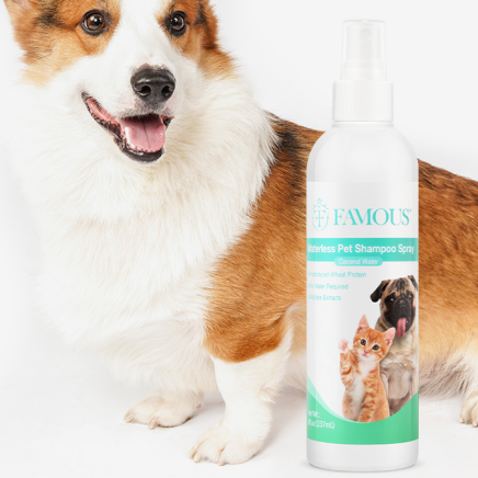 Dog cat small animal shampoo factory Label waterless hair mousse bubble shampoo dog pet dry shampoo foam for home use