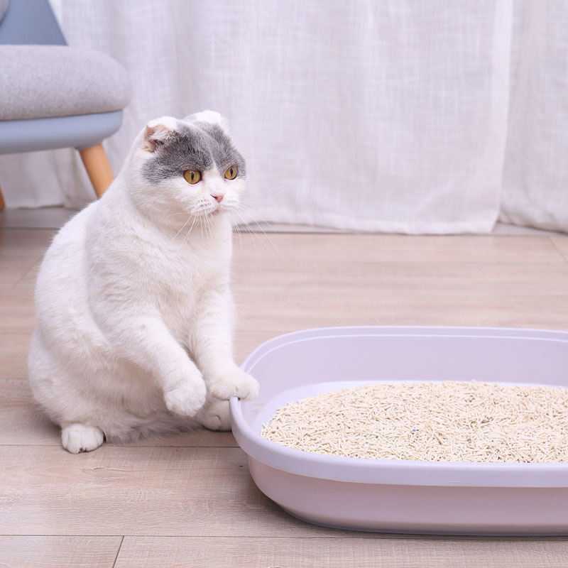 Professional Manufacturer Superior Quality Bulk Natural Production sand cleaner Cat Litter