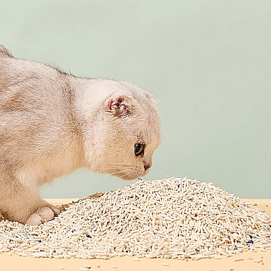 Cat litter factory can wash dust-free curd tofu cat litter