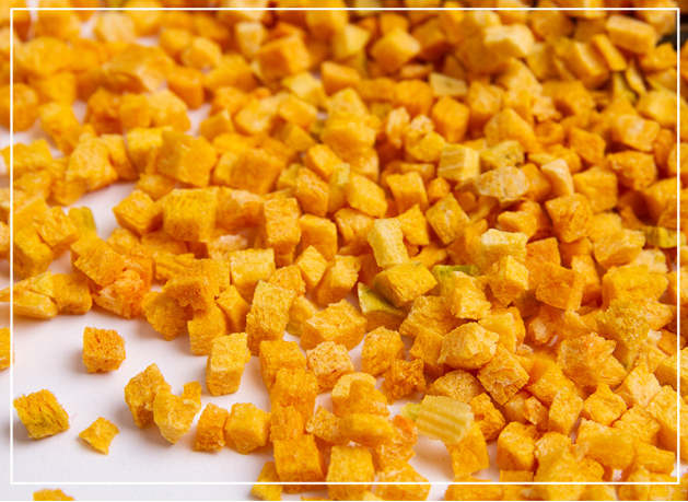 odm pumpkin diced pet food added nutrition supplement dehydrated vegetables 5*5*5mm freeze-dried pumpkin diced