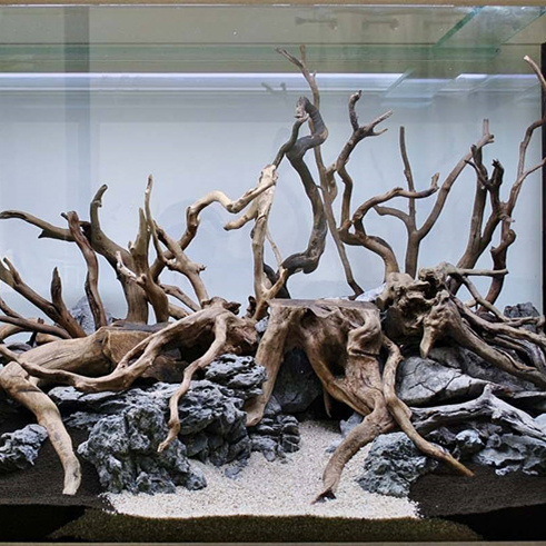 Azalea Root SHANDA aquarium accessories Aquarium Natural Root decoration for plant