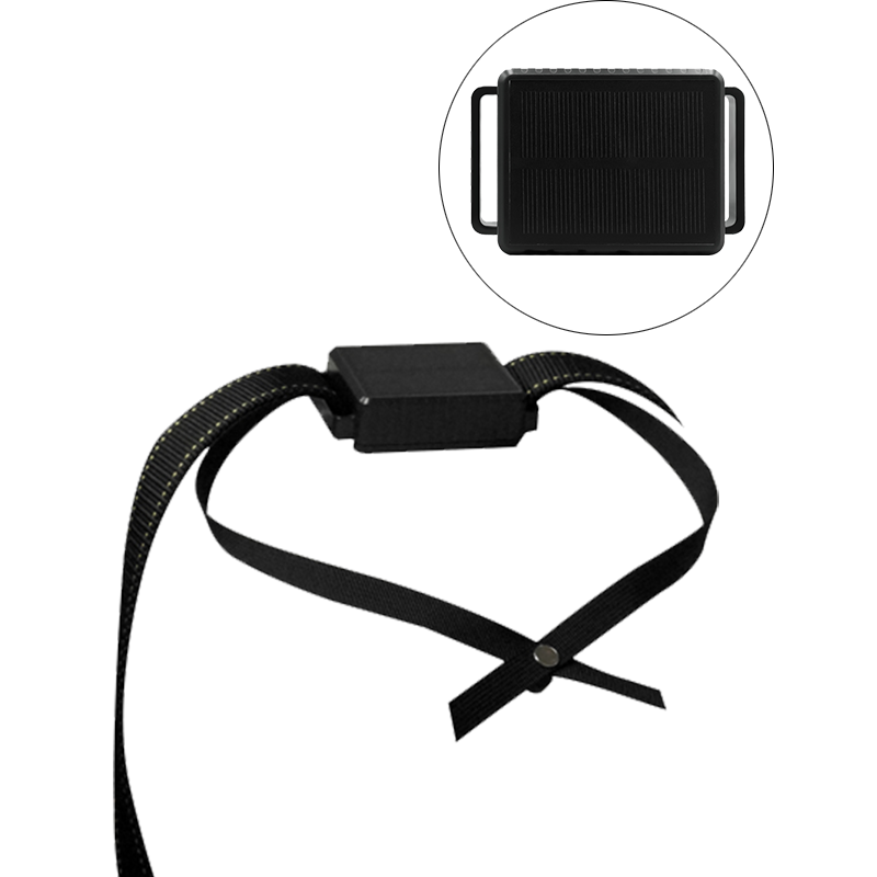 Solar Power Tracking Device Pet Tracker Gps Charger Livestock Cattle Big Animal Cow Collar Electric Devices Guangdong