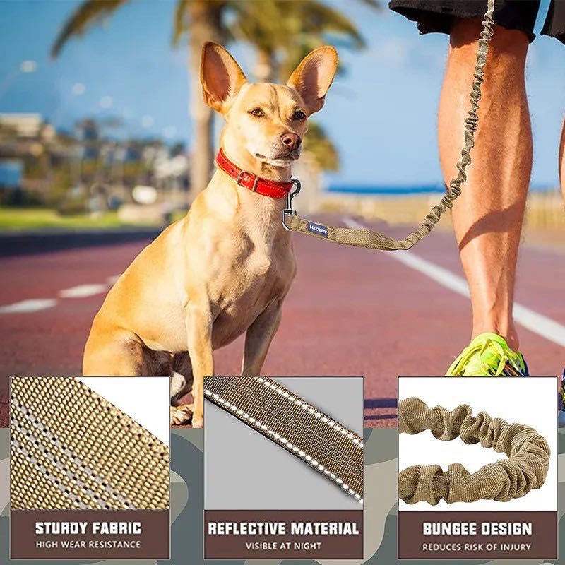 Medium Large Dog Traction Rope Elastic Buffer Training Dog Walking Rope Explosion-proof Traction Belt Pet Supplies