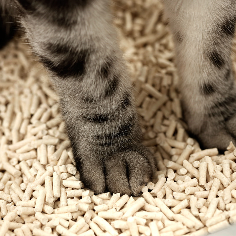 high quality tofu cat litter new broken tofu cat litter popular cat litter tofu flushable