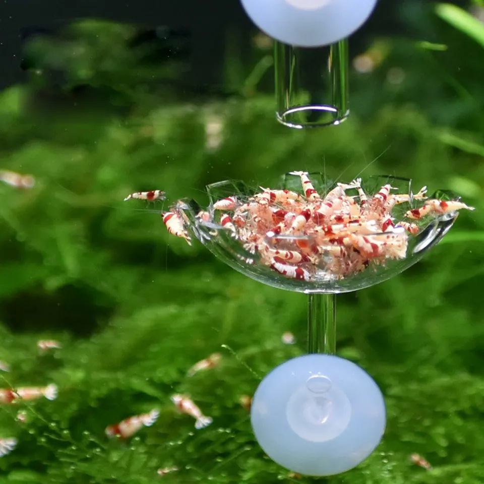 Aquarium Accessories Acrylic Shrimp Feeder Fish Bowl Plastic Tanks for Fish Farming Transparent Sustainable E-commerce Stores