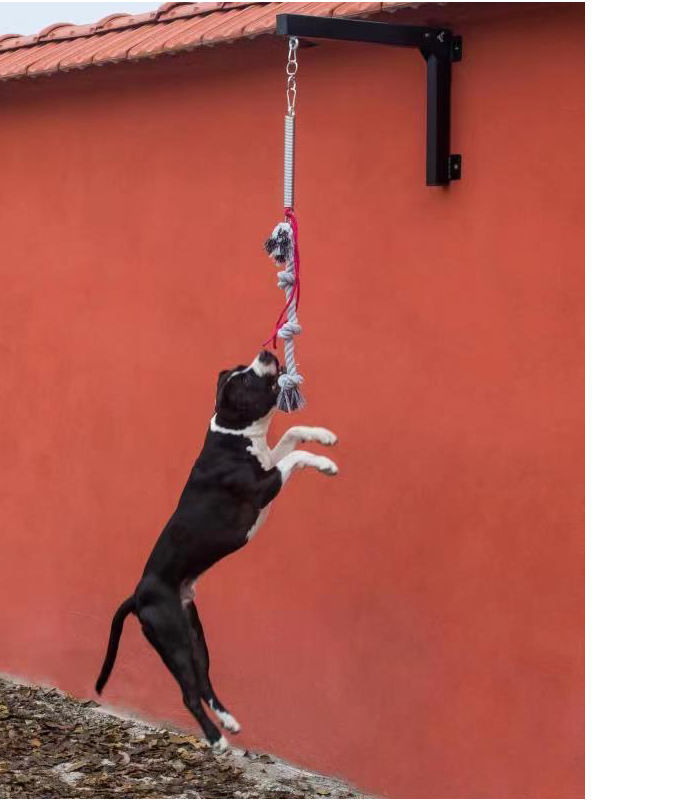 High quality dog spring pole suitable for exercise dog jumping fitness