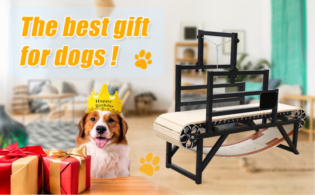 Alipetsmile's new 2.0 Dog Treadmill for large dogs,dog slatmill for healthy